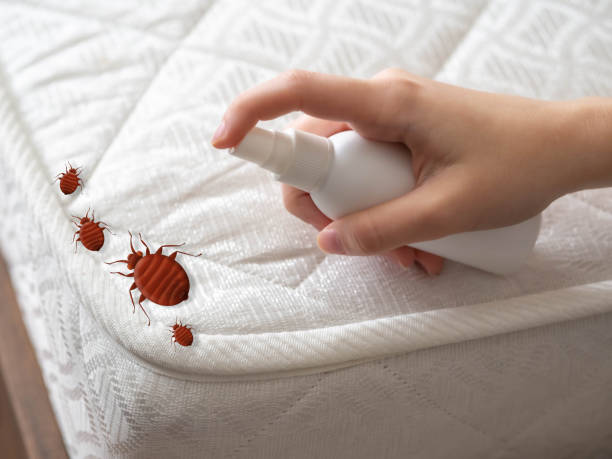 Emergency Pest Control Services in Stillman Valley, IL